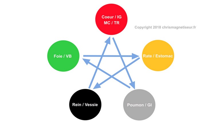 Cycle de contrôle en MTC